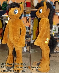 Size: 639x794 | Tagged: safe, artist:atalonthedeer, doctor whooves, time turner, g4, cosplay, fursuit, irl, photo