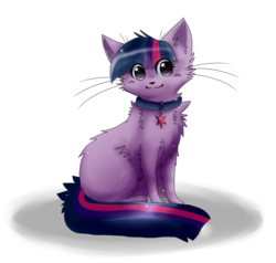 Size: 5000x4751 | Tagged: safe, artist:rizusaur, twilight sparkle, cat, g4, absurd resolution, catified, collar, cutie mark collar, female, fluffy, looking at you, simple background, solo, species swap, transparent background, twilight cat, wingding eyes