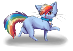 Size: 5000x3514 | Tagged: safe, artist:rizusaur, rainbow dash, cat, g4, catified, rainbow cat, simple background, species swap, transparent background