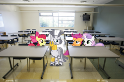 Size: 1920x1280 | Tagged: safe, artist:adrianimpalamata, apple bloom, scootaloo, sweetie belle, zecora, pony, zebra, g4, classroom, cutie mark crusaders, desk, irl, photo, ponies in real life, school, vector