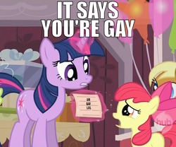 Size: 784x652 | Tagged: safe, edit, edited screencap, screencap, apple bloom, twilight sparkle, alicorn, earth pony, pony, unicorn, g4, caption, cropped, image macro, it says you're gay, lol, meme, text, unicorn twilight, wat