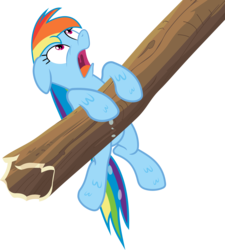 Size: 3597x4000 | Tagged: safe, artist:thorinair, rainbow dash, pony, g4, my little pony: friendship is magic, the mysterious mare do well, female, log, simple background, solo, transparent background, vector, wet