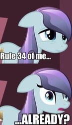 Size: 290x500 | Tagged: safe, edit, edited screencap, screencap, sapphire joy, crystal pony, pony, g4, the crystal empire, comic, cropped, female, floppy ears, image macro, implied porn, rule 34, screencap comic, solo