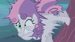 Size: 1024x576 | Tagged: safe, screencap, sweetie belle, family appreciation day, g4, my little pony: friendship is magic, shocked