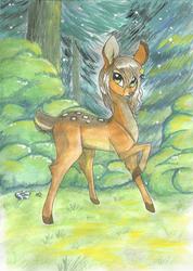 Size: 1150x1616 | Tagged: safe, artist:kvalificatsia, oc, oc only, deer, flower in hair, forest, raised hoof