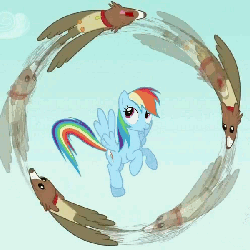 Size: 600x600 | Tagged: safe, screencap, owlowiscious, rainbow dash, winona, g4, may the best pet win, allpet, animated, loop