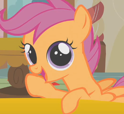 Size: 343x315 | Tagged: safe, screencap, scootaloo, pegasus, pony, g4, cute, cutealoo, female, filly, foal, open mouth, solo