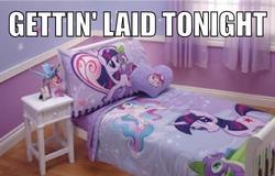 Size: 500x320 | Tagged: safe, princess celestia, spike, twilight sparkle, g4, bed, image macro