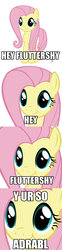 Size: 500x2026 | Tagged: safe, fluttershy, g4, cute, image macro