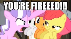 Size: 639x355 | Tagged: safe, edit, edited screencap, screencap, apple bloom, diamond tiara, scootaloo, sweetie belle, g4, ponyville confidential, cutie mark crusaders, image macro