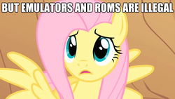 Size: 625x352 | Tagged: safe, fluttershy, pegasus, pony, g4, female, gamershy, image macro, mare, solo