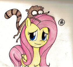 Size: 900x823 | Tagged: safe, artist:silversinner19, fluttershy, g4, crossover, male, regular show, rigby (regular show)