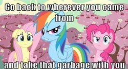 Size: 500x269 | Tagged: safe, edit, edited screencap, screencap, fluttershy, pinkie pie, rainbow dash, pegasus, pony, g4, the last roundup, anti-bronybait, caption, cherry blossoms, cherry orchard, cherry tree, female, flower, flower blossom, image macro, mare, meme, reaction image, tree, trio