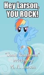 Size: 311x524 | Tagged: safe, edit, edited screencap, screencap, rainbow dash, pegasus, pony, g4, sonic rainboom (episode), caption, image macro, m.a. larson, meme, shoutout, text