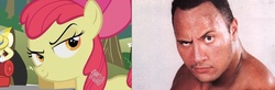 Size: 1057x348 | Tagged: safe, apple bloom, human, g4, comparison, dwayne johnson, irl, photo, the rock, wwe