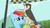 Size: 640x360 | Tagged: safe, screencap, rainbow dash, falcon, peregrine falcon, pony, g4, may the best pet win, my little pony: friendship is magic, rainbow dash is best facemaker