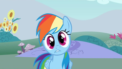 Size: 640x360 | Tagged: safe, screencap, rainbow dash, pegasus, pony, dragonshy, g4, my little pony: friendship is magic, solo