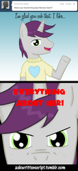 Size: 500x1092 | Tagged: safe, artist:taco-bandit, written script, pony, unicorn, g4, ask, horn, male, solo, stallion