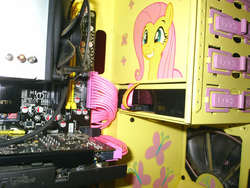 Size: 640x480 | Tagged: safe, fluttershy, g4, computer, ponified