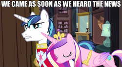 Size: 624x347 | Tagged: safe, princess cadance, shining armor, alicorn, pony, unicorn, g4, female, image macro, male, mare, stallion