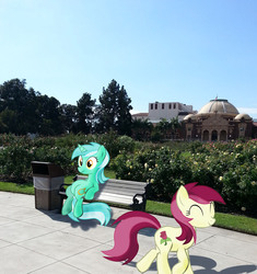 Size: 1231x1309 | Tagged: safe, lyra heartstrings, roseluck, pony, g4, exposition park, flower, irl, los angeles, meme, museum, photo, ponies in real life, rose, rose garden, sitting, sitting lyra, vector