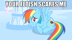 Size: 624x350 | Tagged: safe, rainbow dash, g4, cowering, image macro, scared