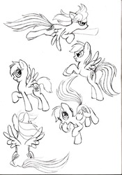 Size: 716x1023 | Tagged: safe, artist:jenny-the-cat, rainbow dash, g4, sketch