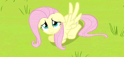 Size: 500x231 | Tagged: safe, screencap, fluttershy, pony, g4, hurricane fluttershy, season 2, animated, cute, female, flapping, floppy ears, high angle, looking up, prone, solo