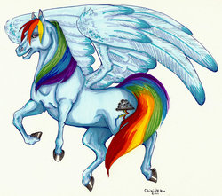 Size: 900x794 | Tagged: safe, artist:segdavinci, rainbow dash, g4, realistic