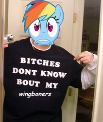 Size: 468x552 | Tagged: safe, edit, rainbow dash, pony head on human body, g4, bitches don't know, clothes, meme, shirt, wingboner