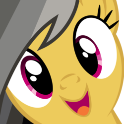 Size: 5000x5000 | Tagged: dead source, safe, artist:drpancakees, daring do, pony, g4, absurd resolution, close-up, face, female, hi anon, meme, solo