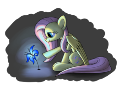 Size: 1057x733 | Tagged: safe, artist:underpable, fluttershy, pony, g4, female, flower, poison joke, simple background, solo, transparent background