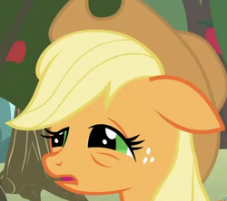 Size: 445x395 | Tagged: safe, screencap, applejack, earth pony, pony, applebuck season, g4, female, solo