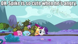 Size: 960x540 | Tagged: safe, edit, edited screencap, screencap, applejack, pinkie pie, rainbow dash, rarity, twilight sparkle, dragon quest, g4, my little pony: friendship is magic, image macro, roflbot