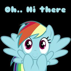 Size: 800x800 | Tagged: safe, rainbow dash, pony, g4, female, fourth wall, image macro, solo, text