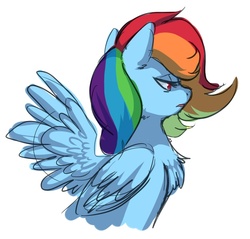 Size: 762x729 | Tagged: safe, artist:miikanism, rainbow dash, pony, g4, bust, chest fluff, female, portrait, profile, solo