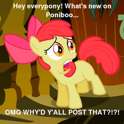 Size: 476x476 | Tagged: safe, edit, edited screencap, screencap, apple bloom, earth pony, pony, g4, abandon thread, image macro, meme, ponibooru, text, why would you post that