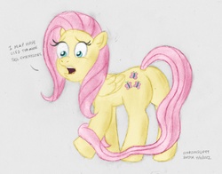 Size: 1150x900 | Tagged: safe, artist:scobionicle99, fluttershy, pony, g4, butt, dialogue, female, impossibly long tail, long tail, plot, solo, tail extensions, traditional art
