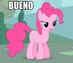 Size: 600x517 | Tagged: safe, pinkie pie, g4, image macro, spanish