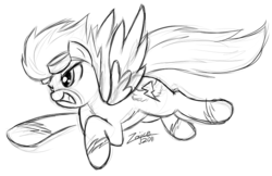 Size: 819x532 | Tagged: safe, artist:zajice, spitfire, pegasus, pony, g4, female, flying, goggles, monochrome, sketch, solo, wonderbolts, wonderbolts uniform