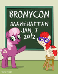 Size: 600x764 | Tagged: safe, artist:tim-kangaroo, cheerilee, twist, bronycon, g4, glasses, poster