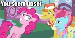 Size: 637x329 | Tagged: safe, carrot cake, cup cake, pinkie pie, pumpkin cake, earth pony, pony, g4, female, filly, foal, image macro, male, mare, open mouth, stallion, u mad