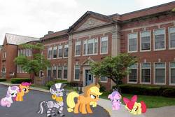 Size: 1440x960 | Tagged: safe, artist:dontae98, apple bloom, applejack, diamond tiara, scootaloo, sweetie belle, zecora, pony, zebra, g4, bandage, cutie mark crusaders, irl, photo, ponies in real life, school, vector