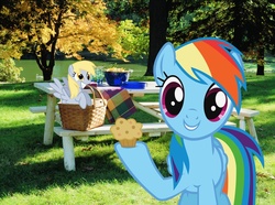 Size: 1024x763 | Tagged: safe, artist:normanb88, derpy hooves, rainbow dash, pony, g4, irl, muffin, photo, picnic, ponies in real life, table, vector