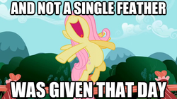 Size: 625x351 | Tagged: safe, edit, edited screencap, screencap, fluttershy, pegasus, pony, g4, caption, female, hooves out, image macro, mare, nose in the air, open mouth, outdoors, solo, spread wings, text, wings
