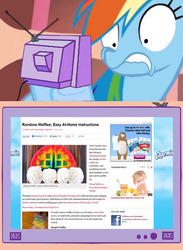 Size: 563x771 | Tagged: safe, rainbow dash, pony, g4, exploitable meme, meme, news, tv meme, waffle