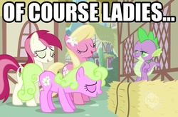 Size: 1603x1054 | Tagged: safe, edit, edited screencap, screencap, daisy, flower wishes, lily, lily valley, roseluck, spike, dragon, earth pony, pony, g4, the cutie pox, caption, female, flower, flower in hair, flower trio, image macro, lily (flower), male, mare, spike gets all the mares