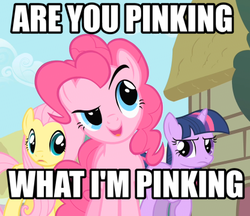 Size: 416x360 | Tagged: safe, fluttershy, pinkie pie, twilight sparkle, g4, cute, image macro, pun