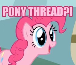 Size: 502x427 | Tagged: safe, pinkie pie, g4, image macro, pink text