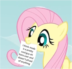 Size: 508x485 | Tagged: safe, fluttershy, g4, calibri, exploitable meme, fluttershy's note meme, meme, mod, mouth hold, pretty cool guy